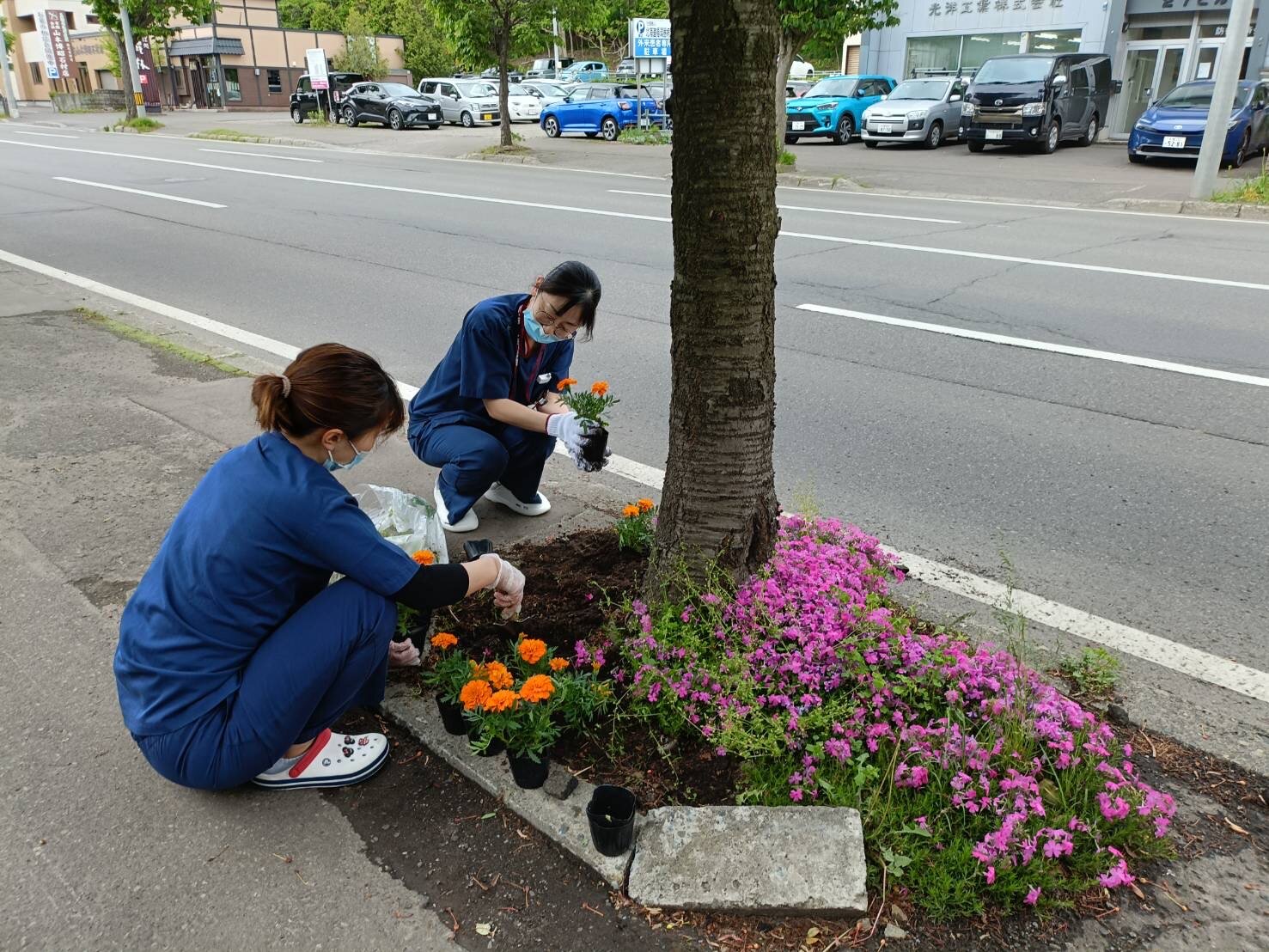花植えの様子1