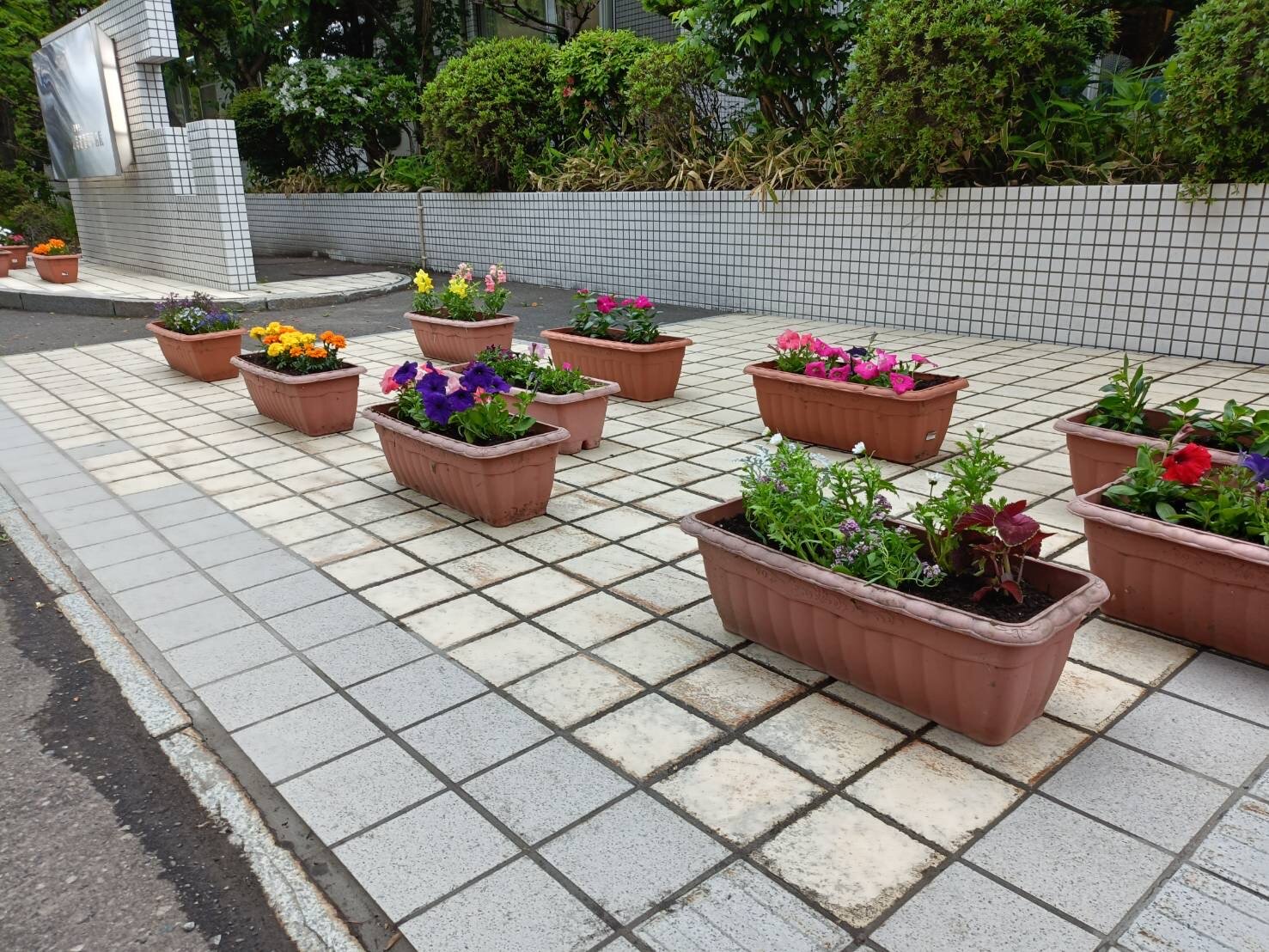 花植えの様子2